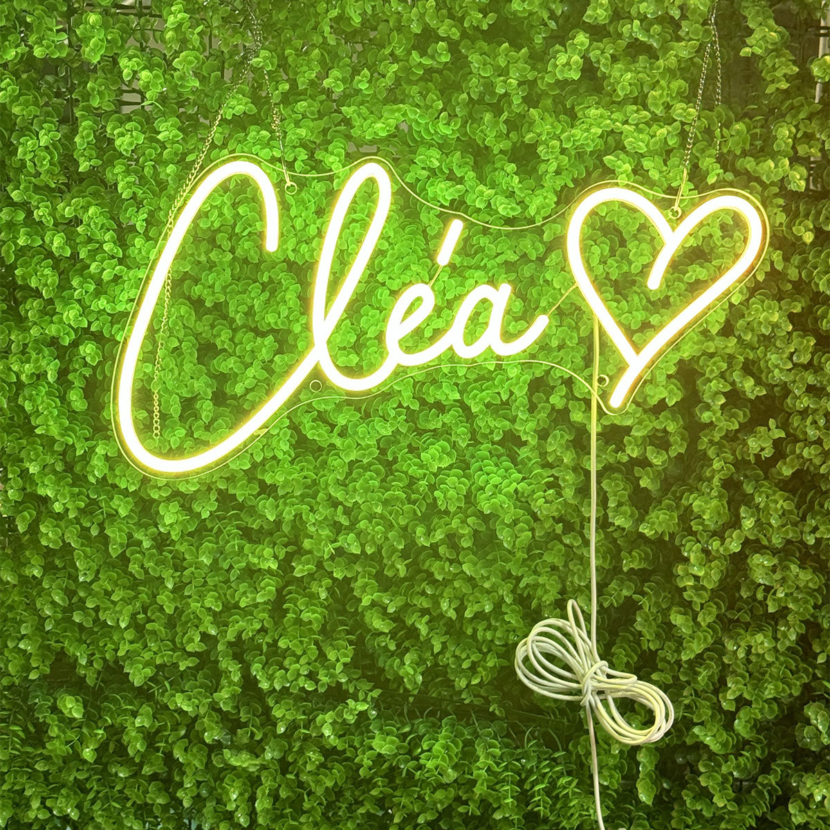 Custom RGB Name Neon Sign,Romantic LED neon light,Wedding & Proposal Neon Decorations,Birthday party setup,Home decoration