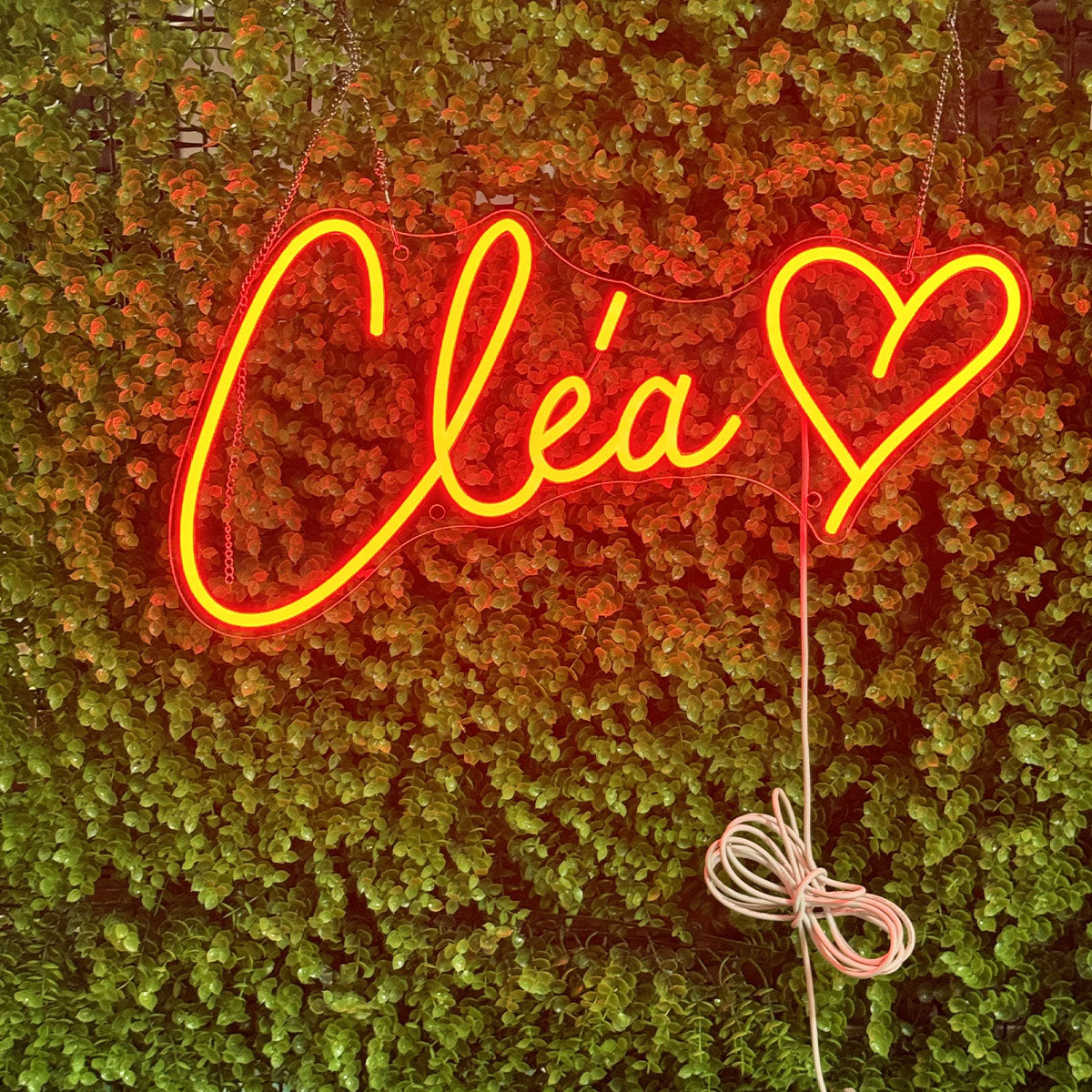 Custom RGB Name Neon Sign,Romantic LED neon light,Wedding & Proposal Neon Decorations,Birthday party setup,Home decoration