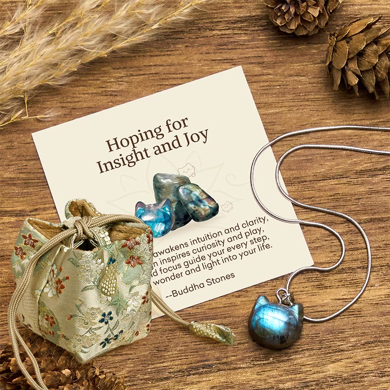 Buddha Stones "Hoping for Insight and Joy" Cat Labradorite Necklace Includes Gift Message Card