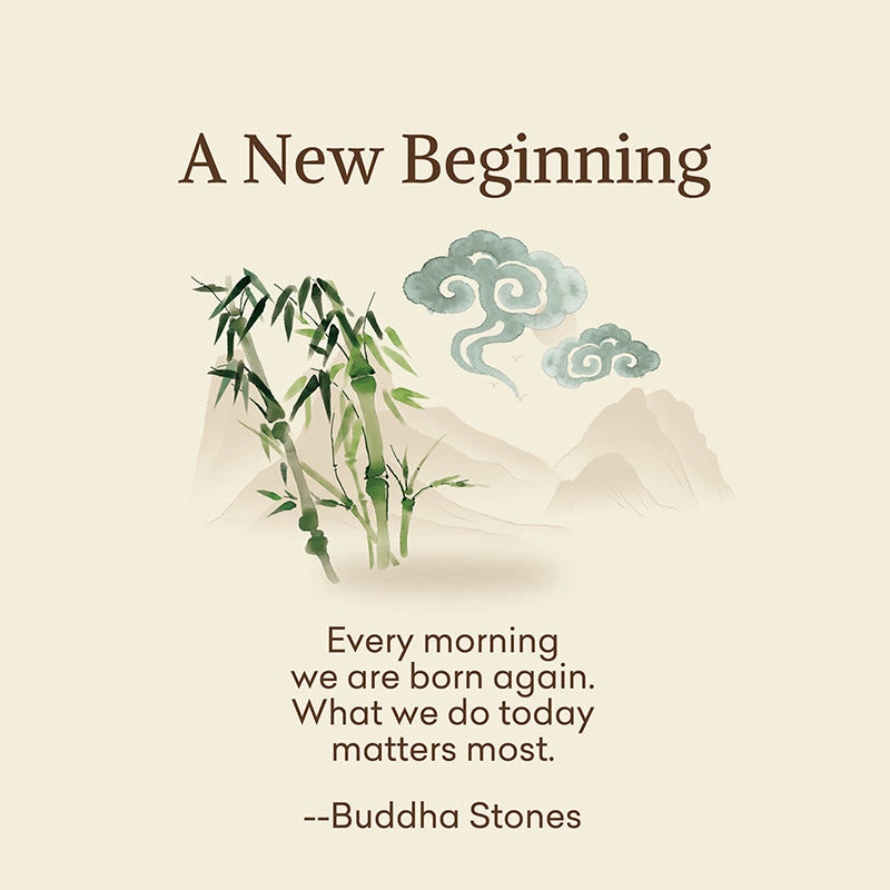Buddha Stones "A New Beginning" Bamboo Micro Crew Women's Socks Includes Gift Message Card