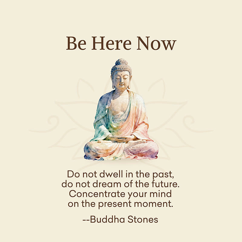 Buddha Stones "Be Here Now" Casual Buddha Lotus Dragonfly Women's Socks Includes Gift Message Card