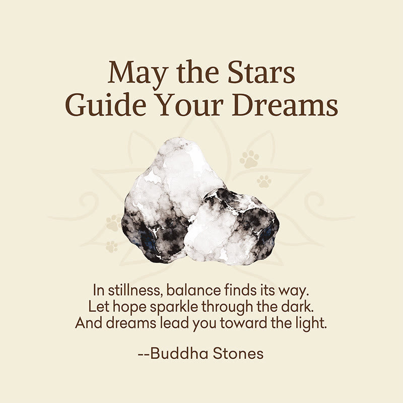 Buddha Stones "May the Stars Guide Your Dreams" Orca Agate Bracelet Includes Gift Message Card