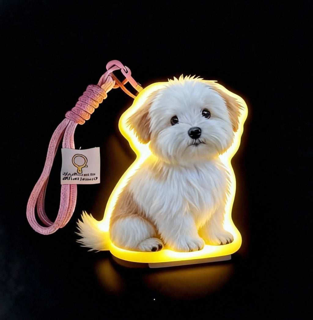 Personalized Pet Home Night Light