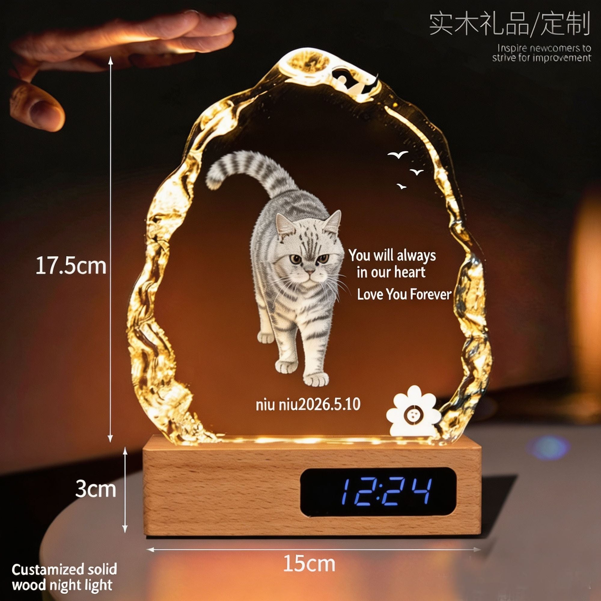 Personalized 3D Laser Engraved Crystal Photo Night Light, Custom Picture LED Lamp with Wooden Base, Memorial Keepsake Gift for Family, Couple & Pet