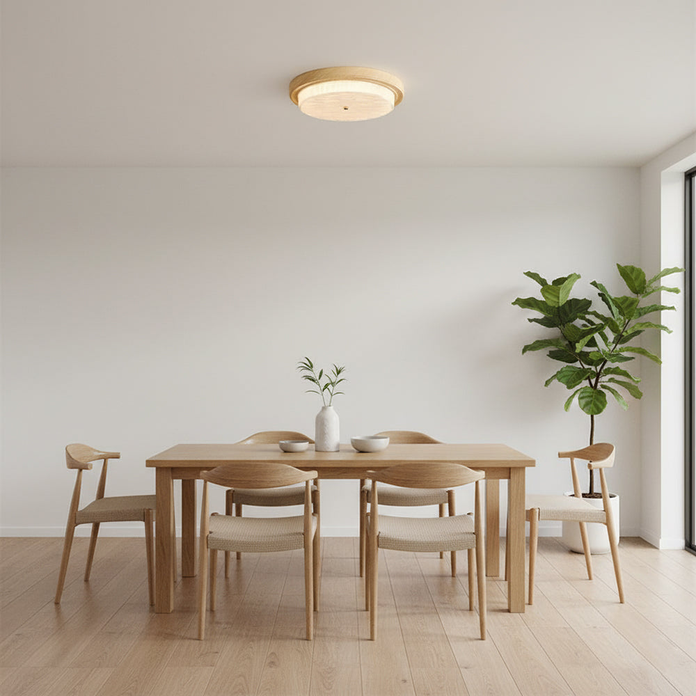 Rays Ceiling Light