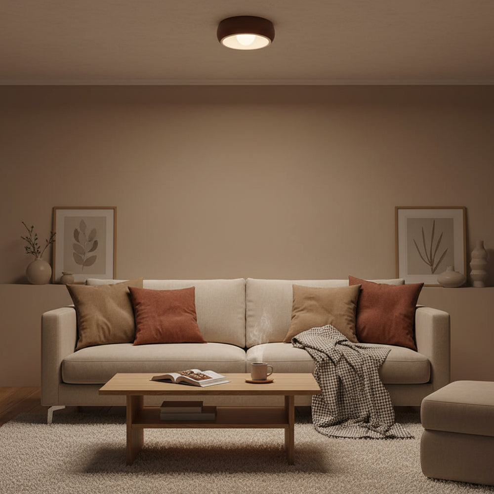 Kovacs Ceiling Light