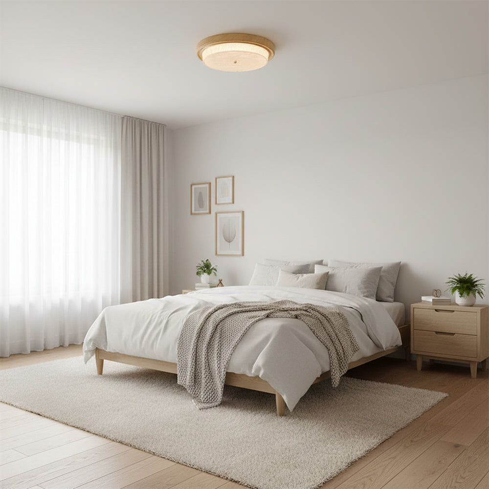 Rays Ceiling Light