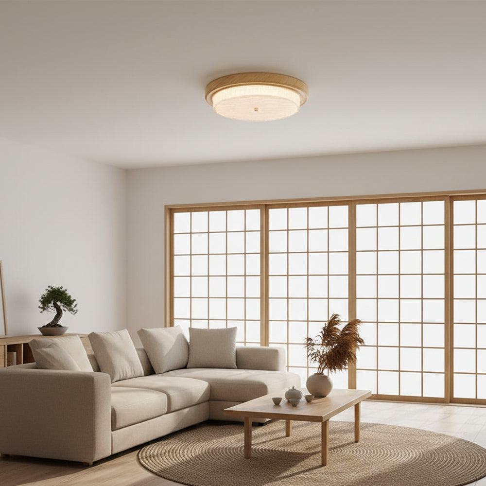 Rays Ceiling Light