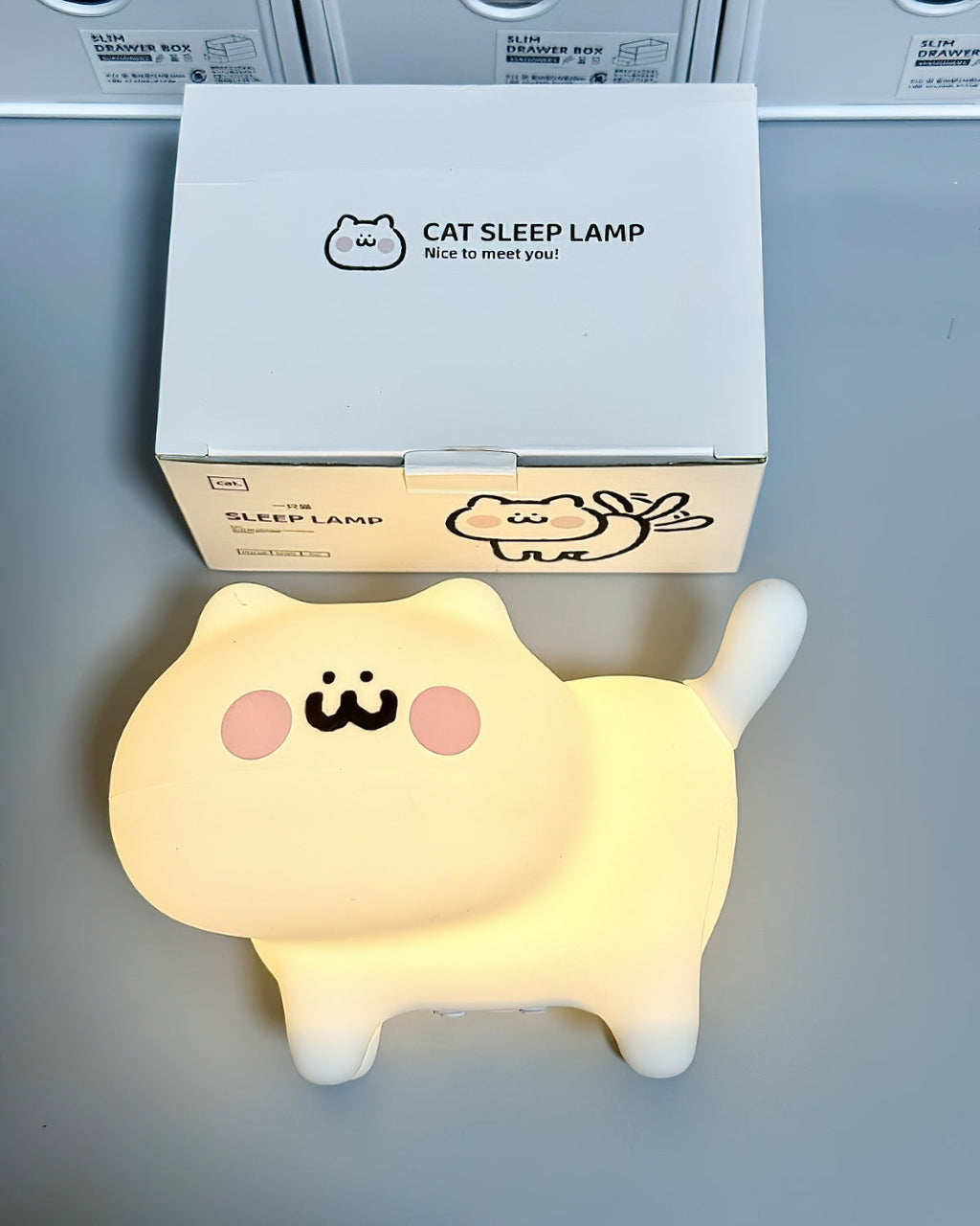 A Cat Night Light