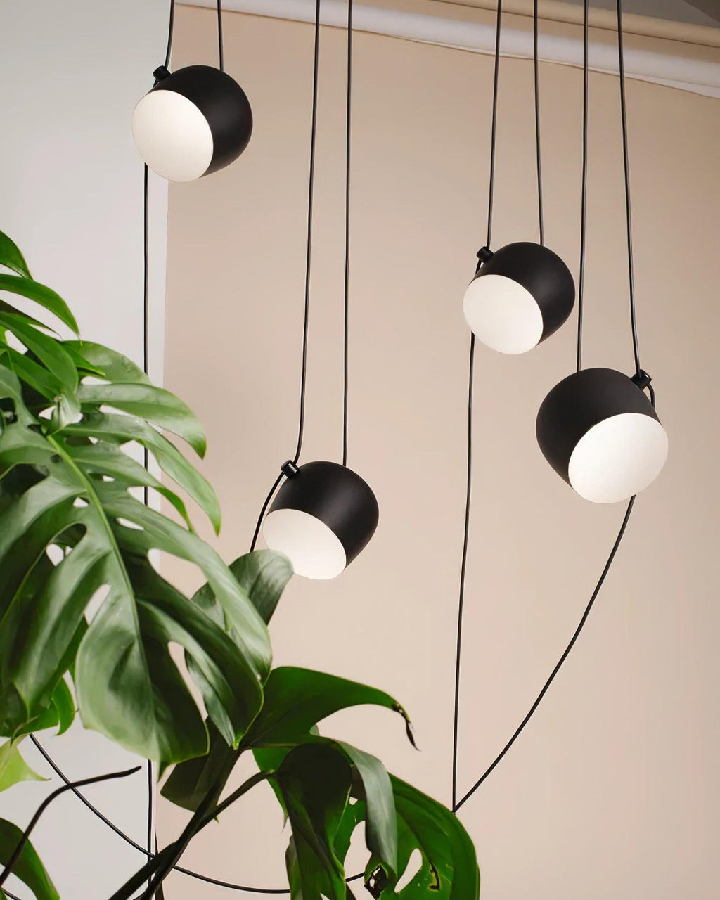 Ronan Pendant Light