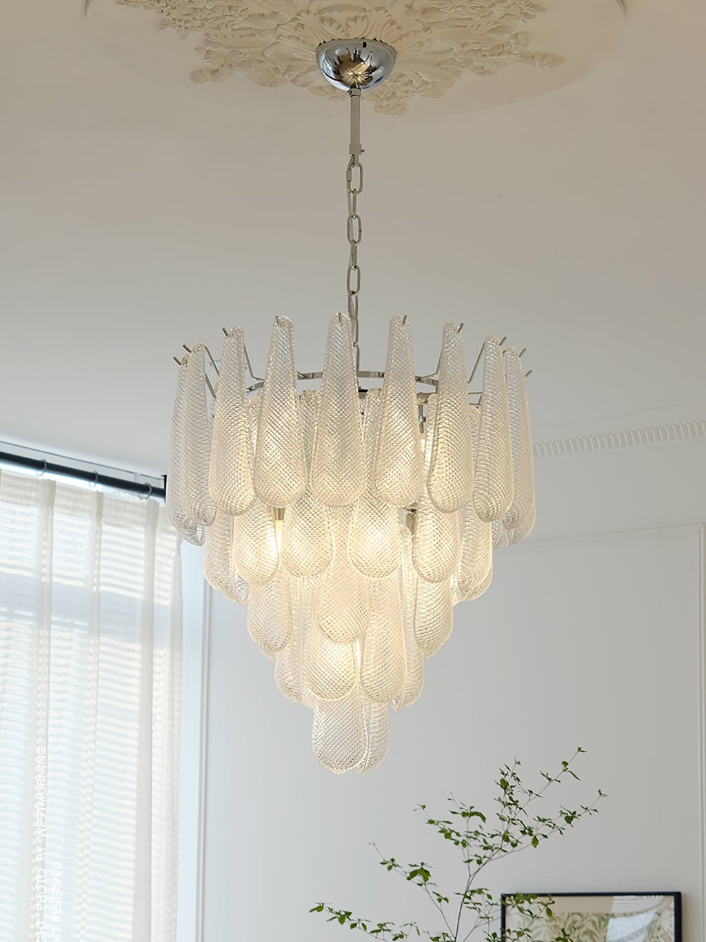 Case Glass Chandelier