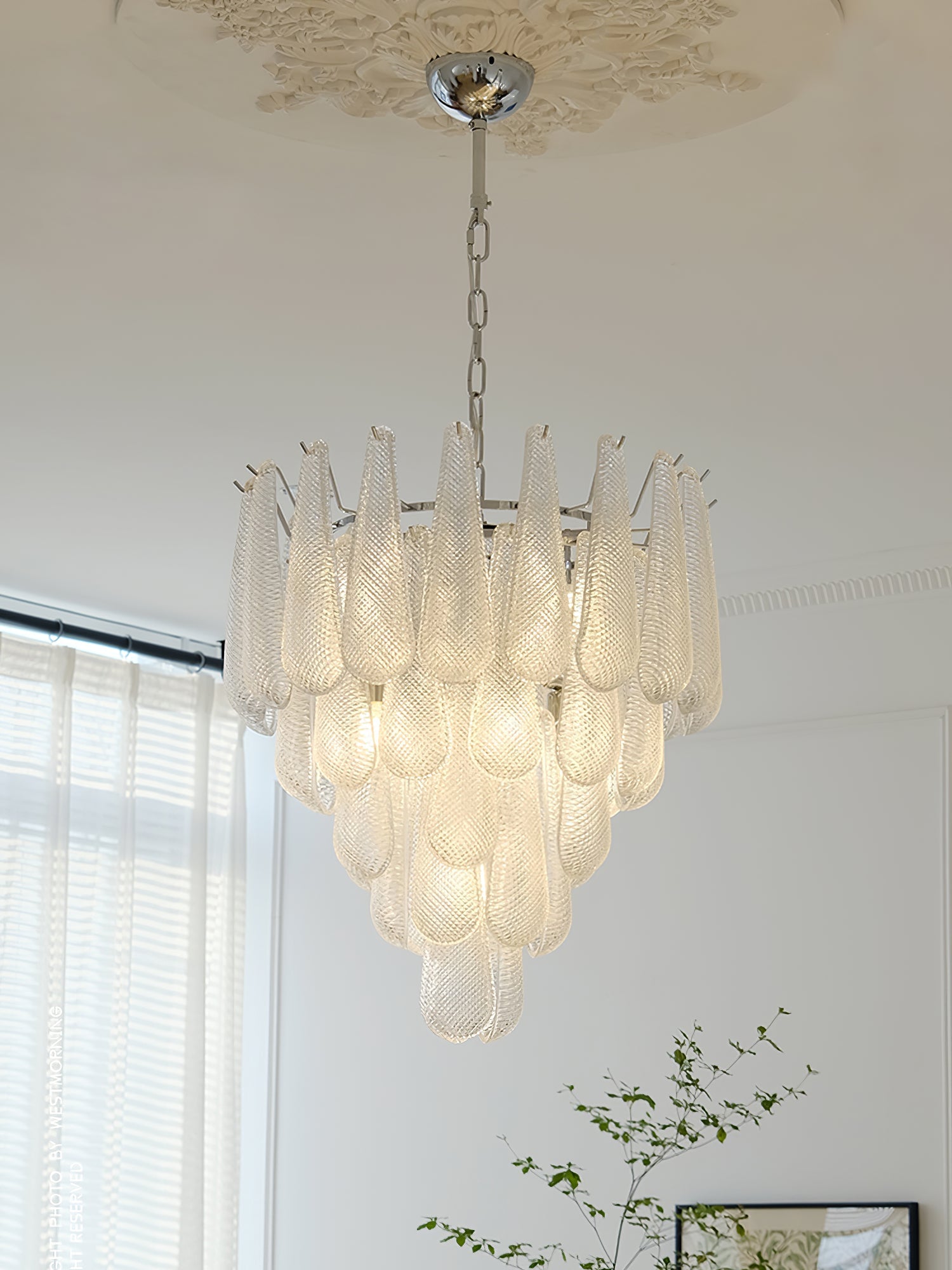 Case Glass Chandelier