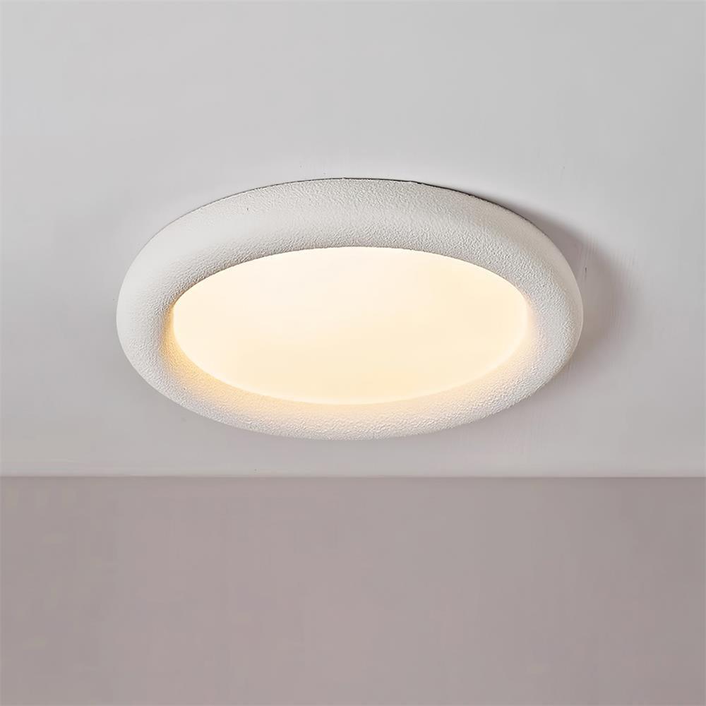 Concise Ceiling Light