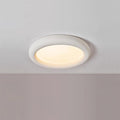 Concise Ceiling Light