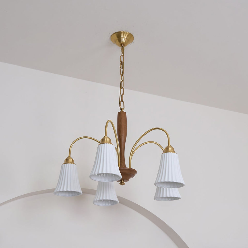 Conia Chandelier