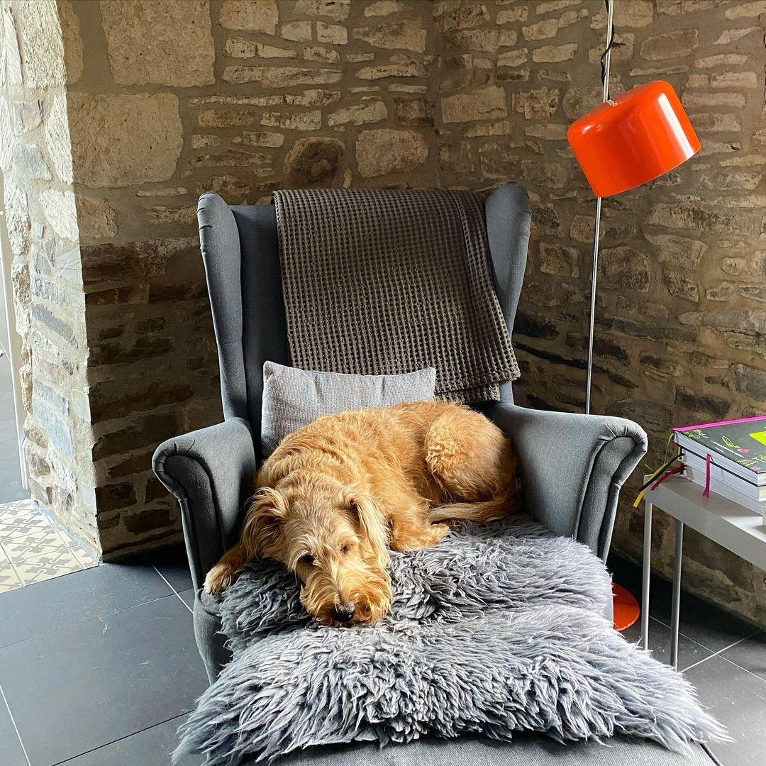 Coupé Floor Lamp