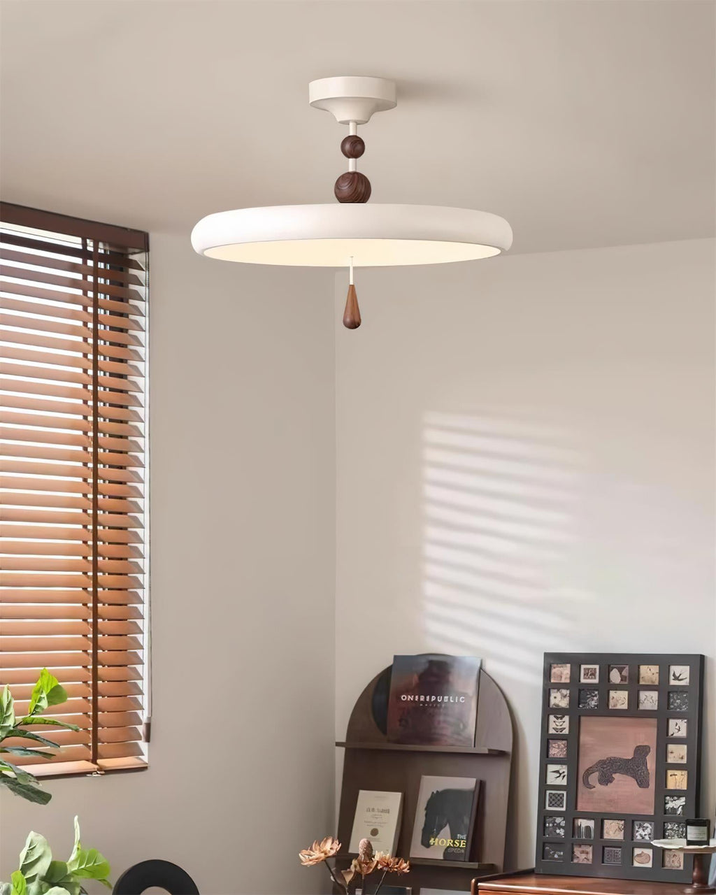 Spectrum Ring Ceiling Lamp