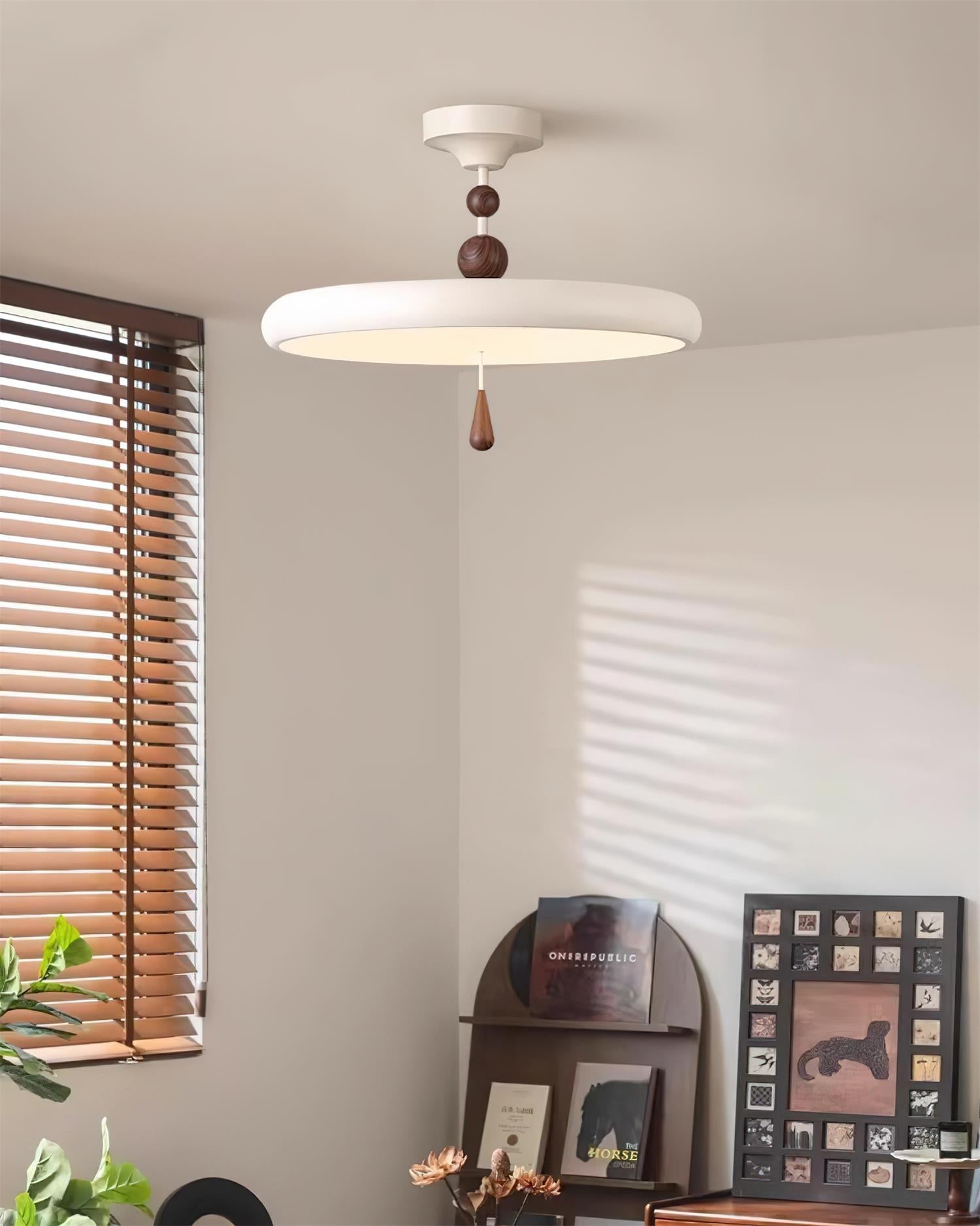 Spectrum Ring Ceiling Lamp