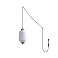 Eloise Glass Plug In Pendant Light