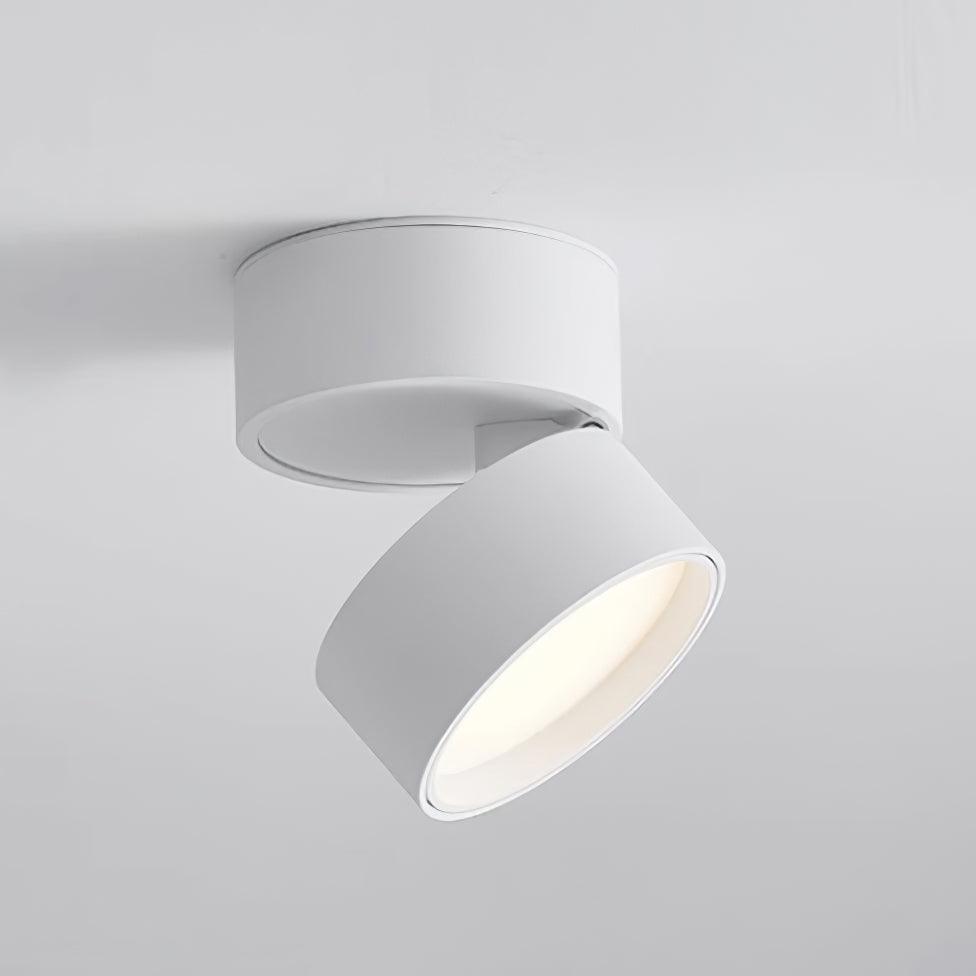 Favilla Surface Spotlight