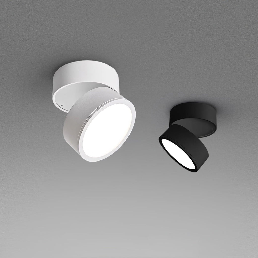 Favilla Surface Spotlight
