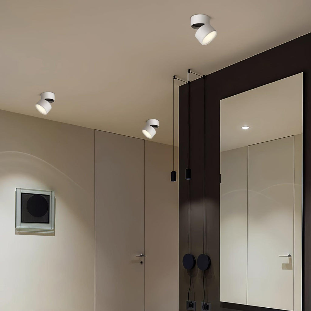 Favilla Surface Spotlight