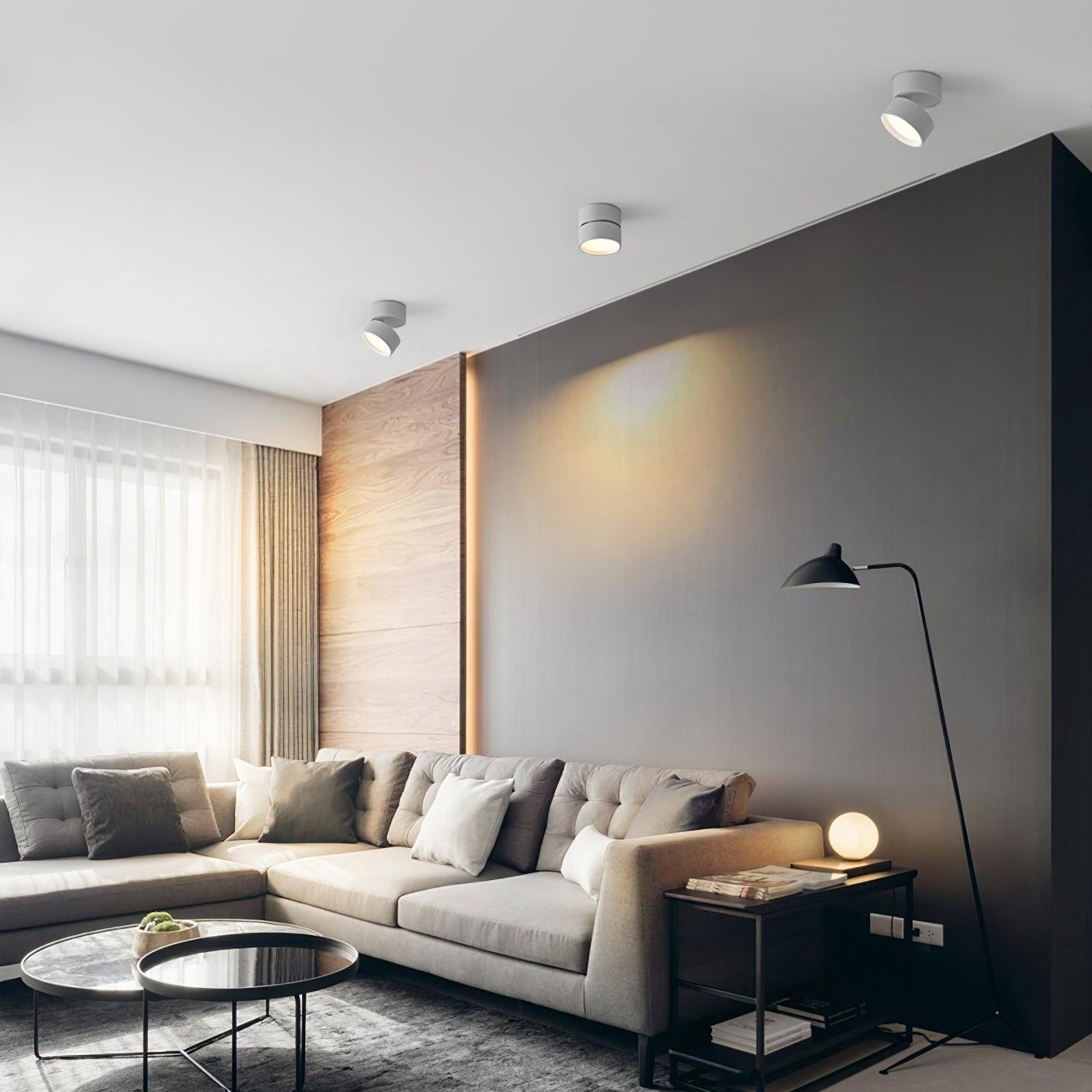 Favilla Surface Spotlight