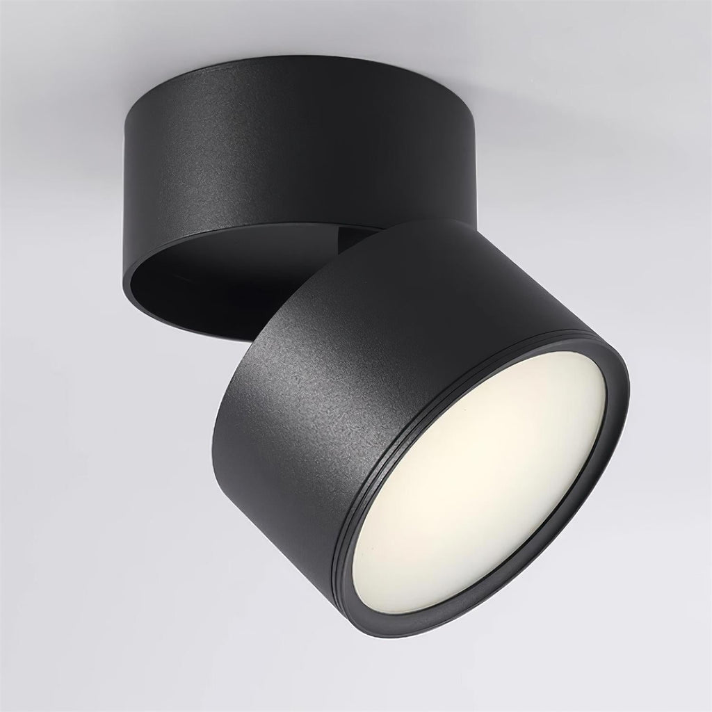 Favilla Surface Spotlight