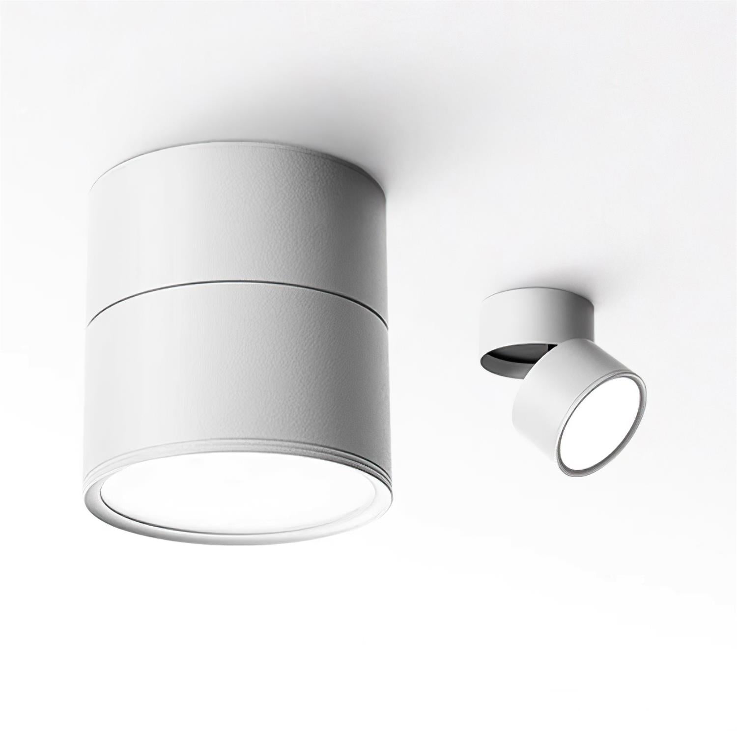 Favilla Surface Spotlight