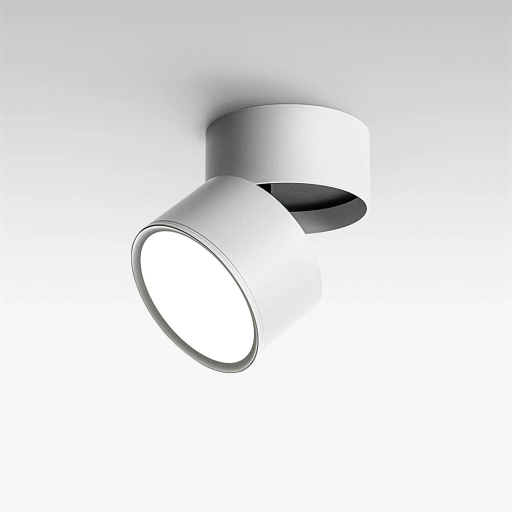 Favilla Surface Spotlight