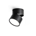 Favilla Surface Recessed Light
