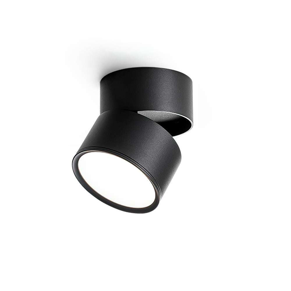 Favilla Surface Recessed Light