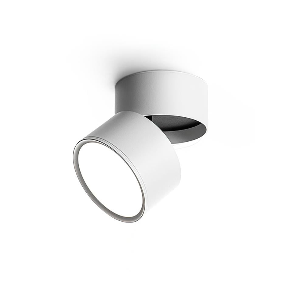 Favilla Surface Spotlight