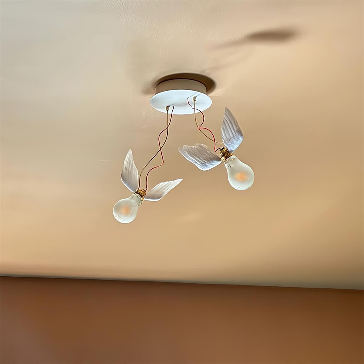 Feathered Wall Lamp