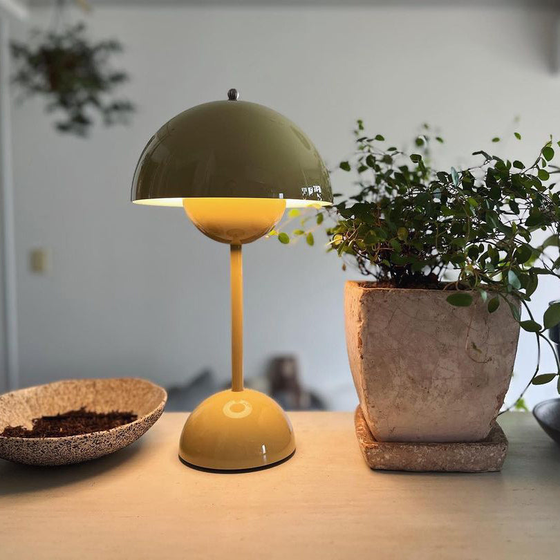 Rechargeable LED Small Desk Lamp