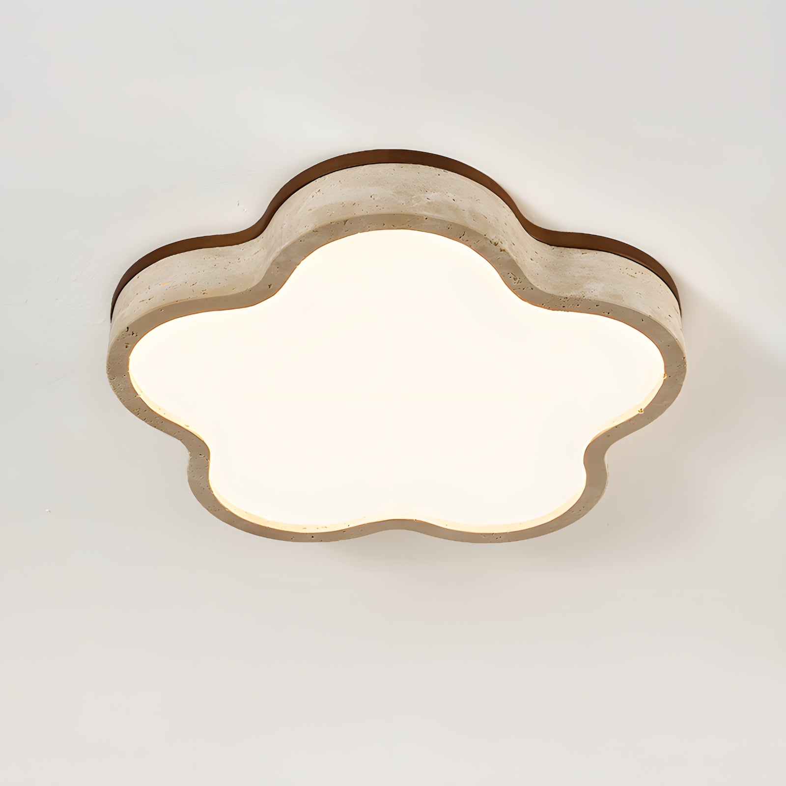 Fluffy Ceiling Lamp