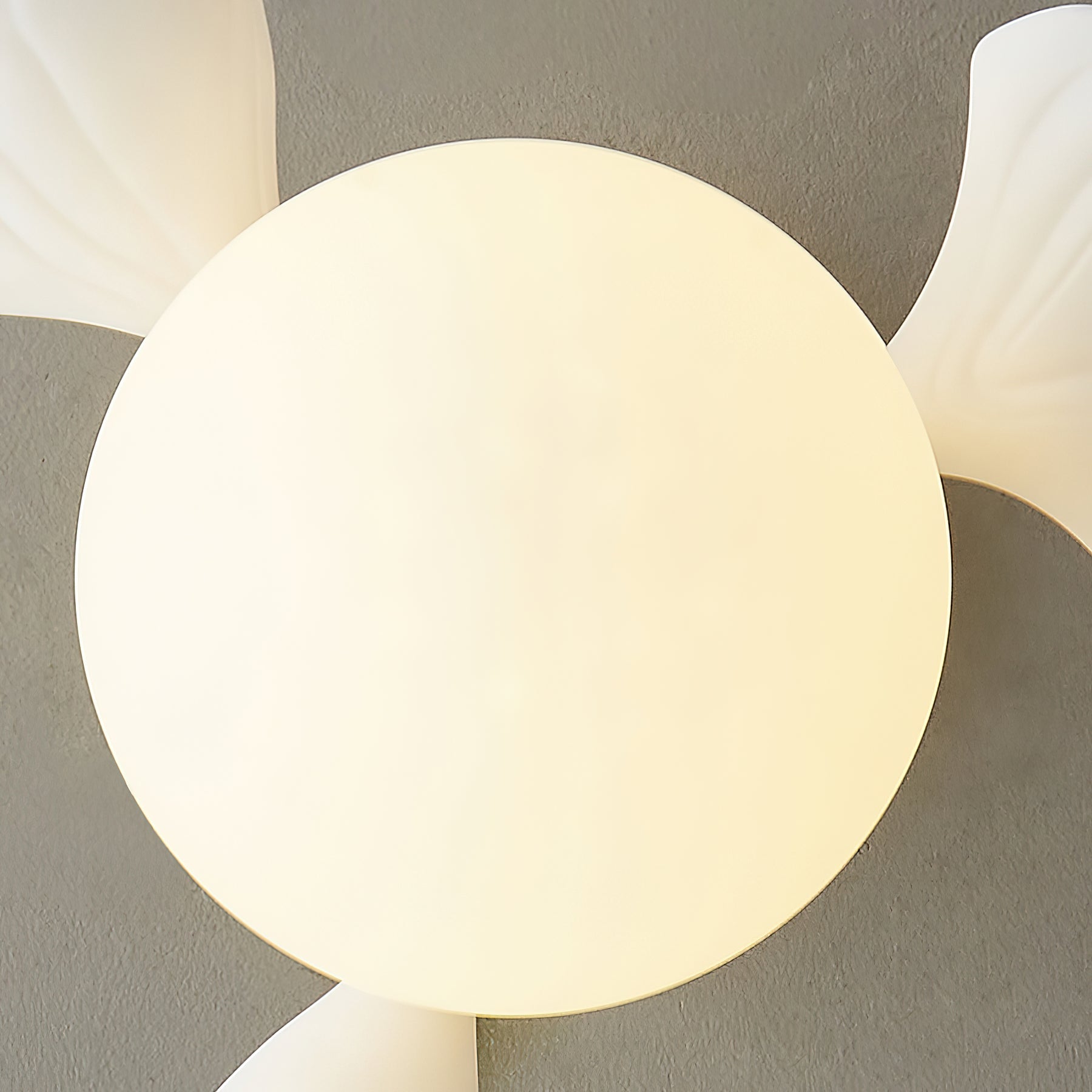 Ginkgo Rosalia Ceiling Light