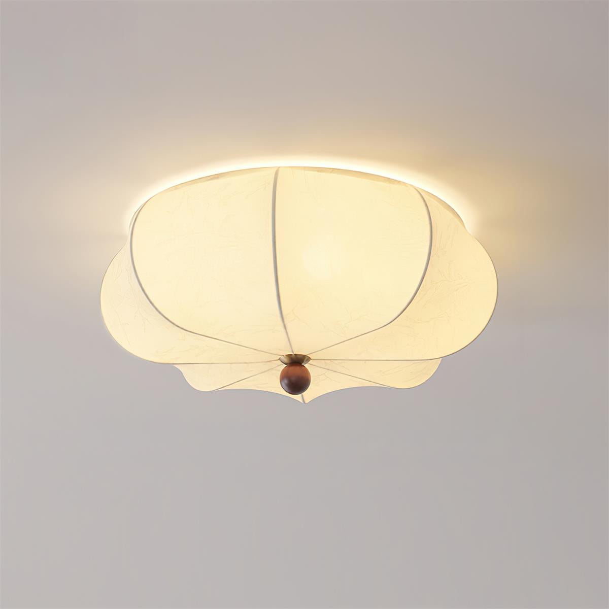 Graceful Drift Ceiling Lamp