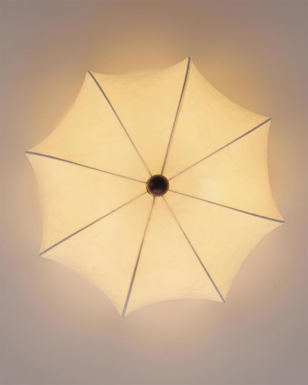 Graceful Drift Ceiling Lamp