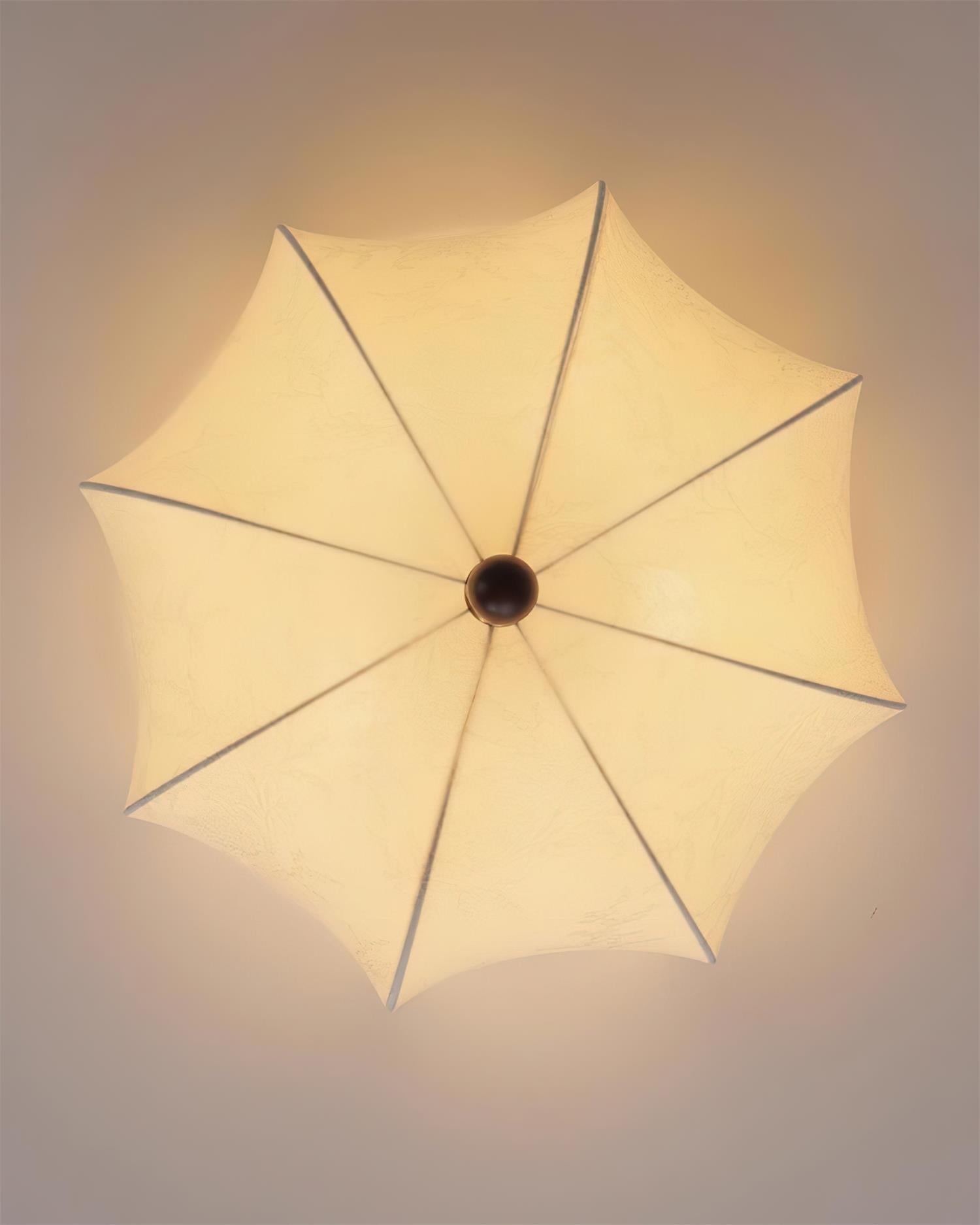 Graceful Drift Ceiling Lamp