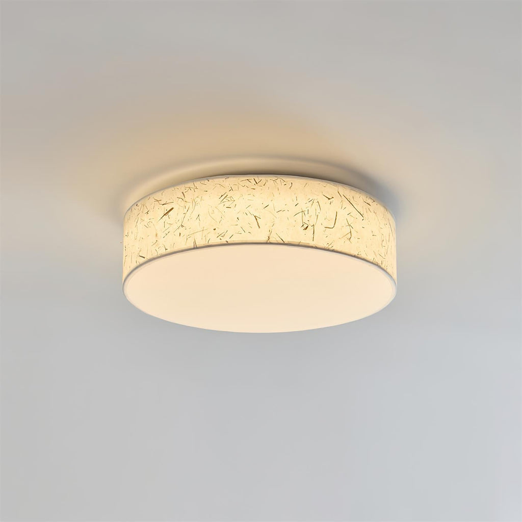 Hayden Ceiling Lamp