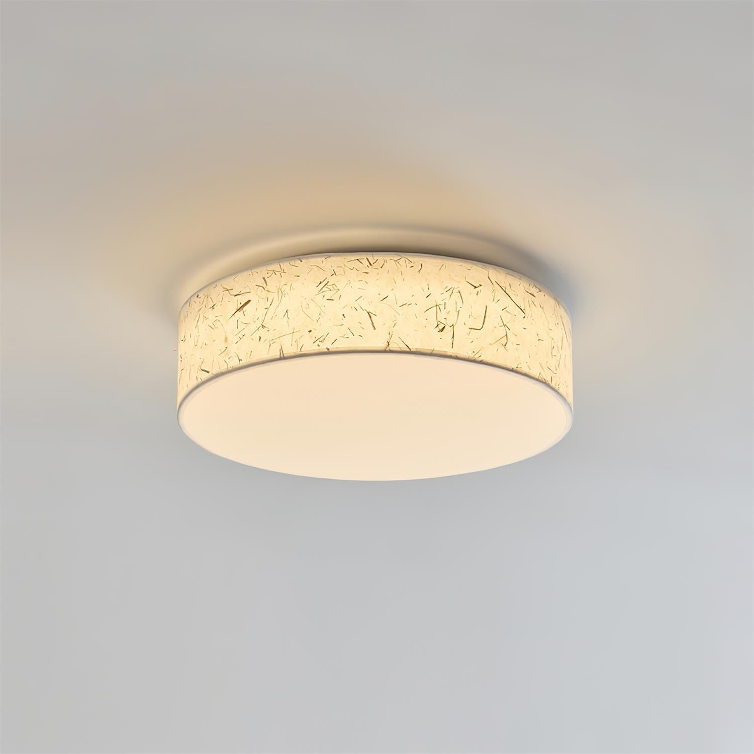 Hayden Ceiling Lamp