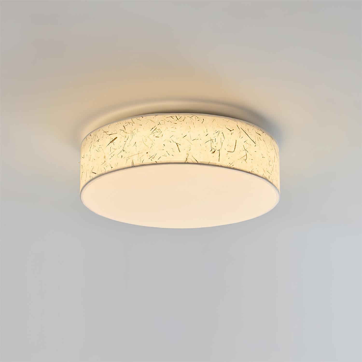 Hayden Ceiling Lamp
