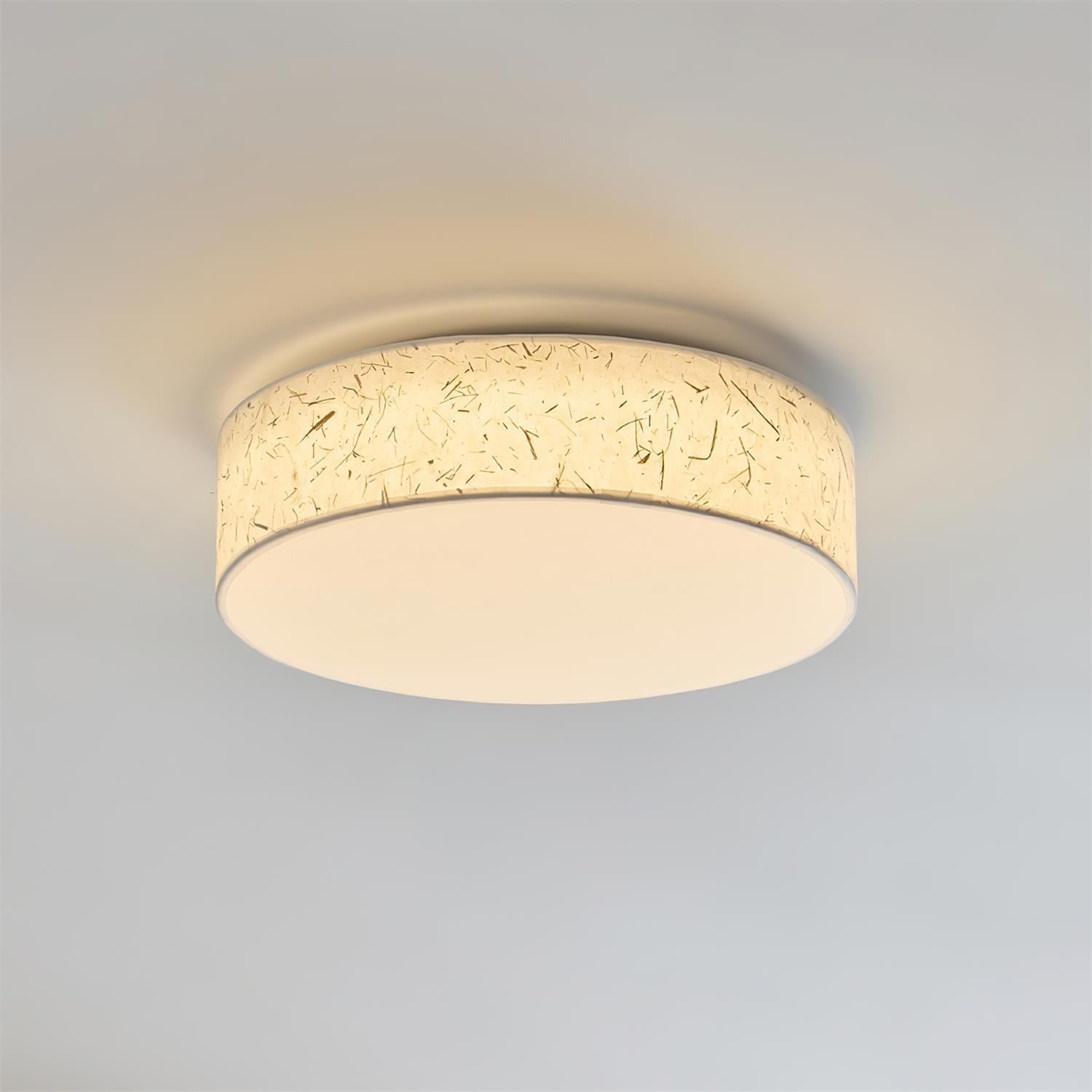Hayden Ceiling Lamp