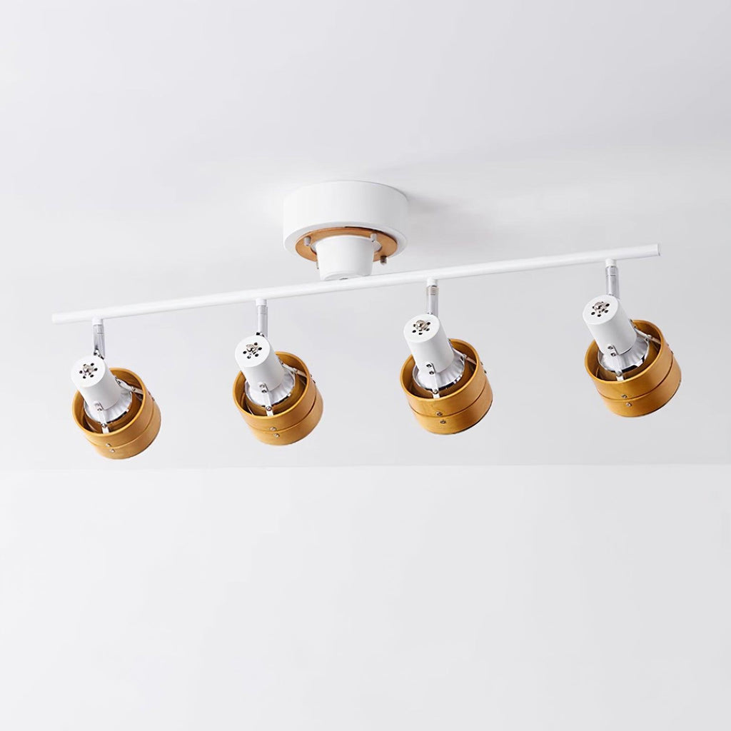 Hewes Track Lighting