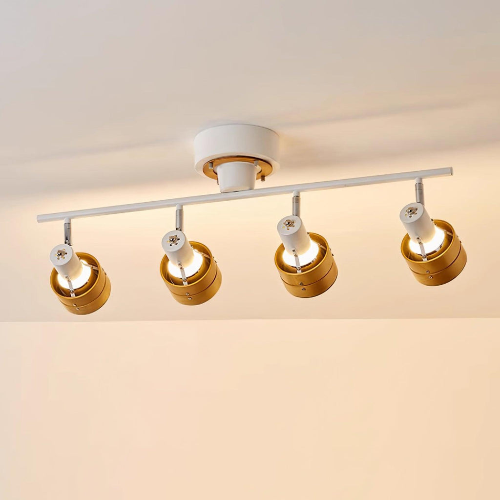 Hewes Track Lighting