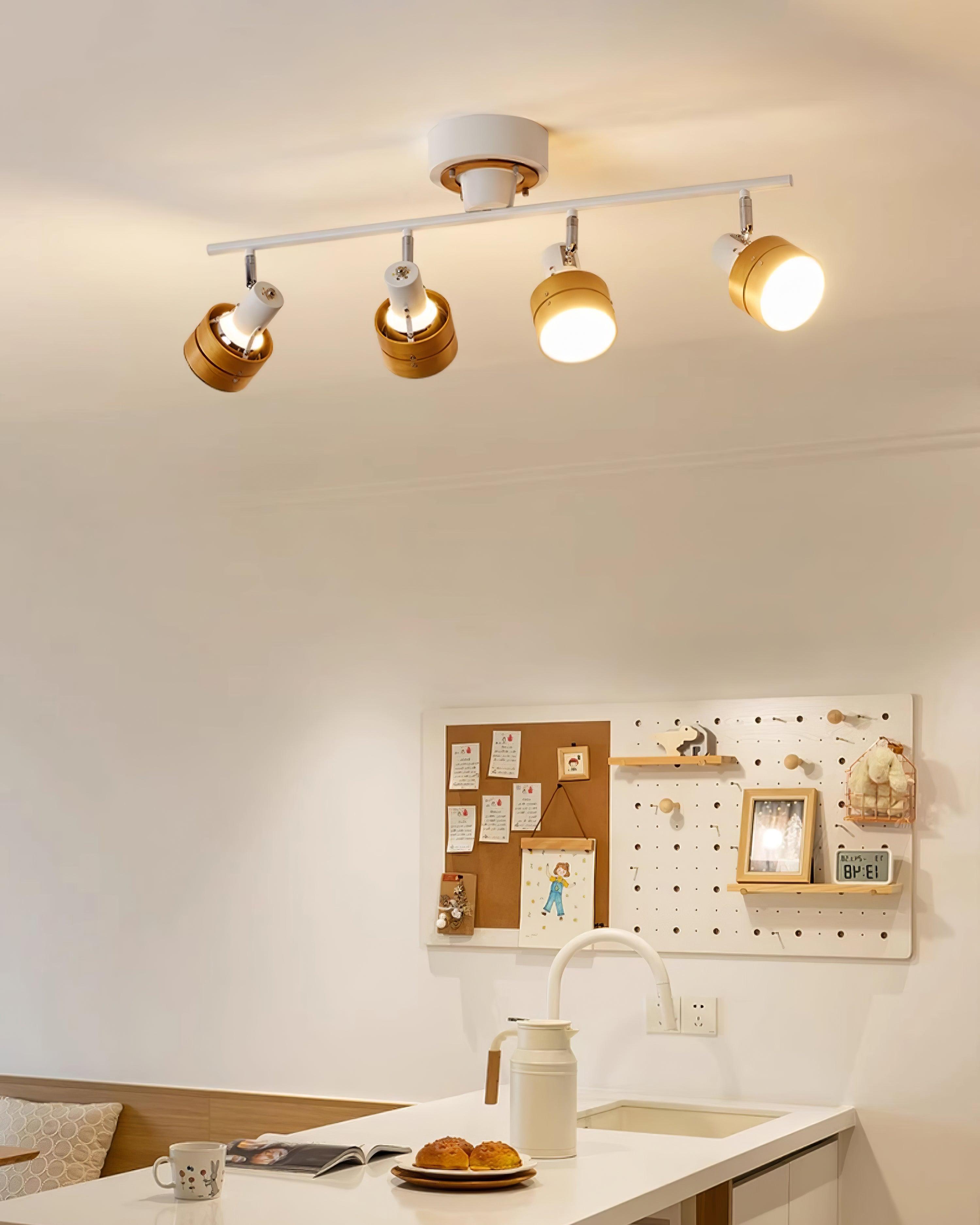 Hewes Track Lighting