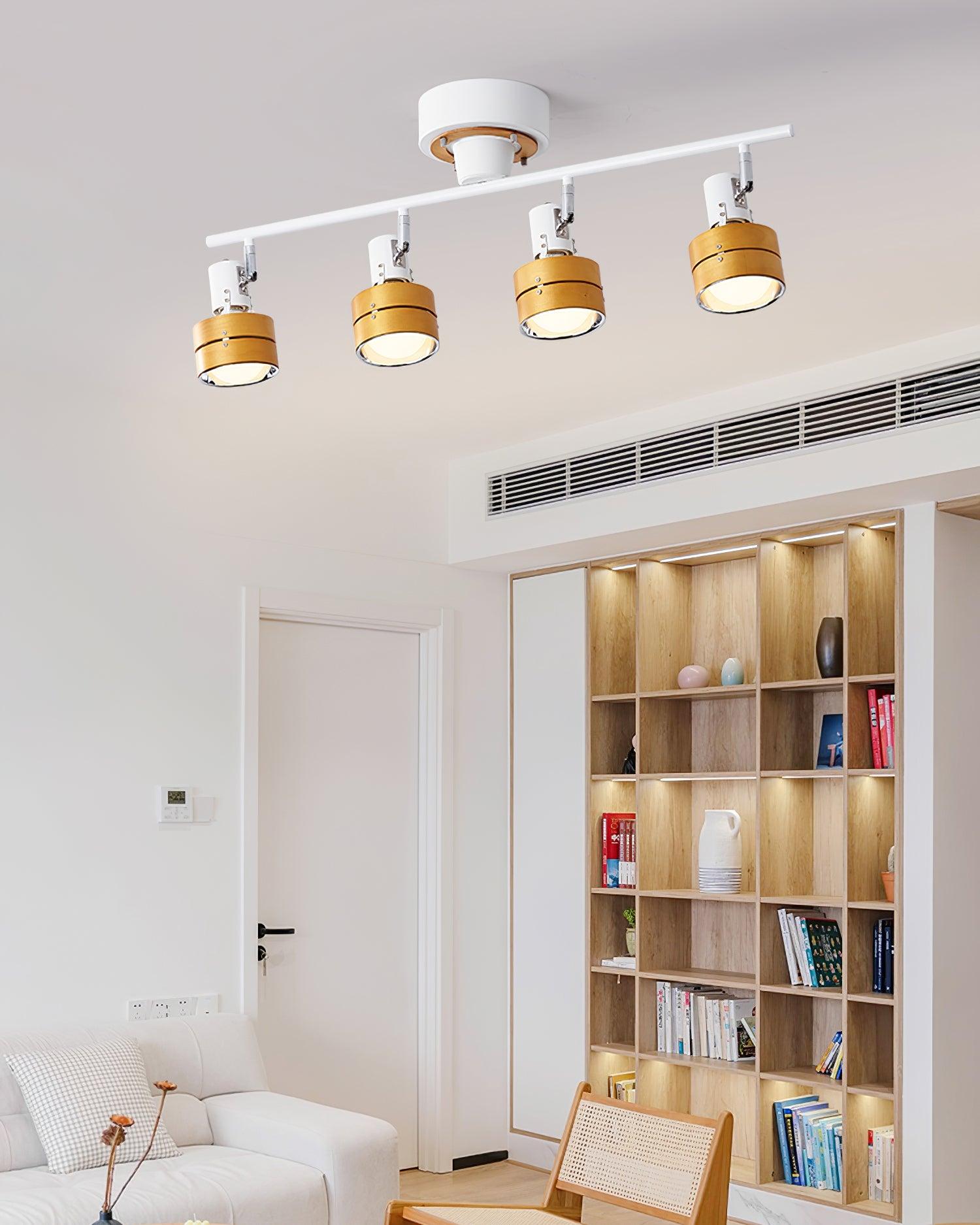 Hewes Track Lighting
