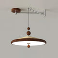 Hover Swing Arm Pendant Lamp