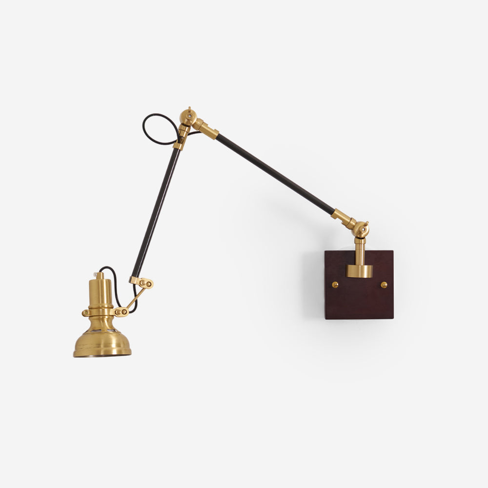 Kane Swing Arm Wall Lamp